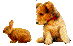 small animal microchipping