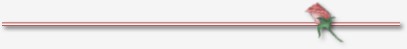 divider.jpg (3526 bytes)