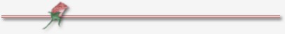 divider1.jpg (3534 bytes)